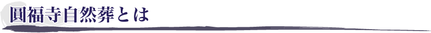 自然葬とは